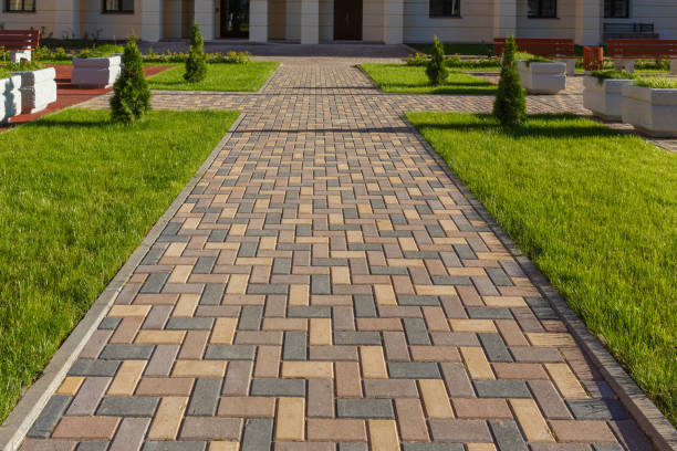 Best Professional Driveway Pavers  in Elmwood Park, IL